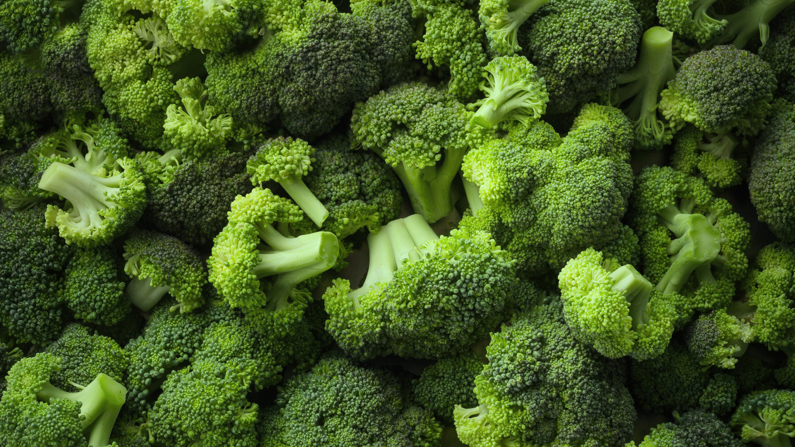 Broccoli