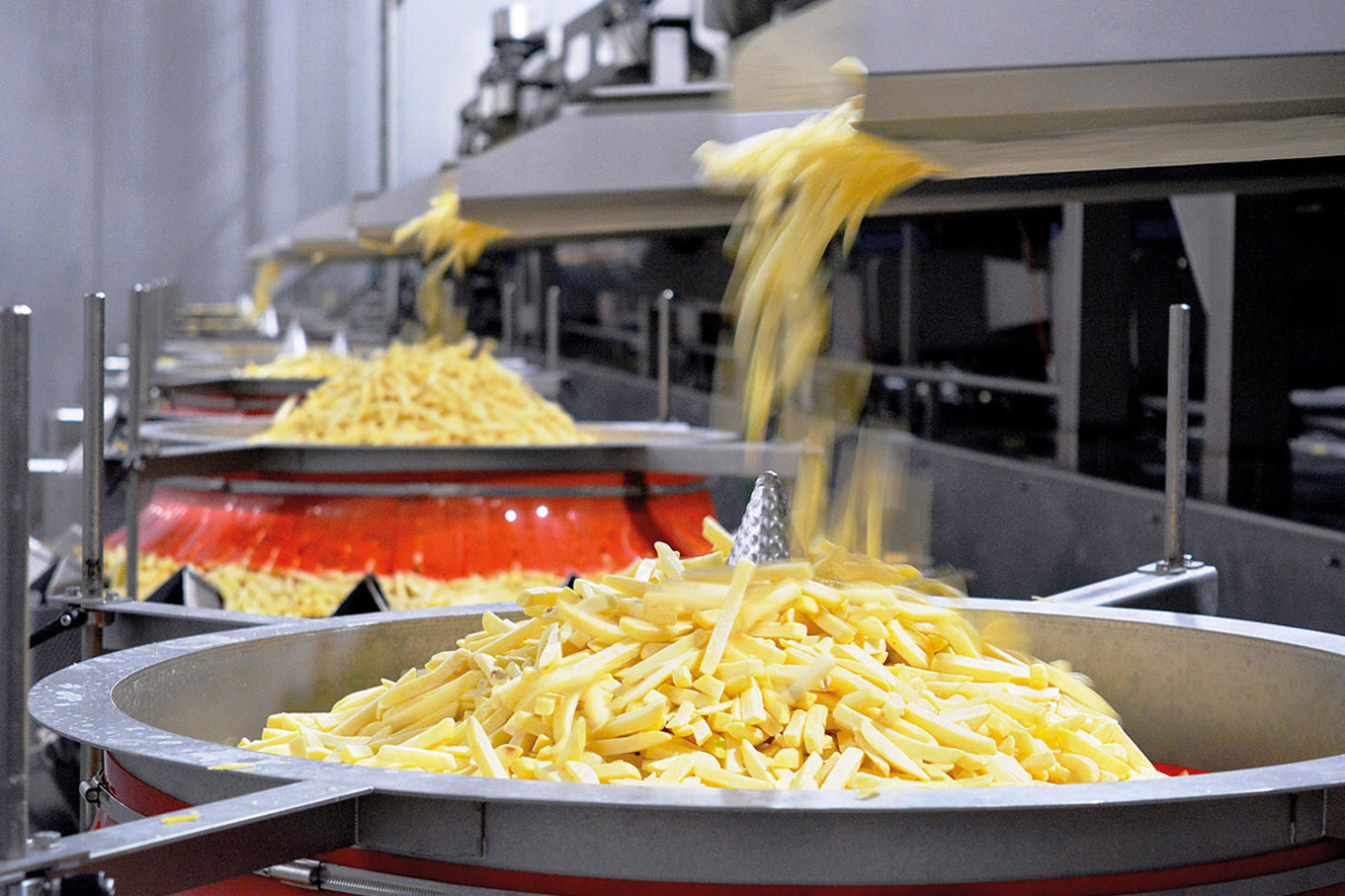 Potato Products